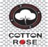 COTTON ROSE – manufacturers network